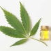 What Doctors Say Are CBD Benefits Have Been Observed In Actual People, Not Mice