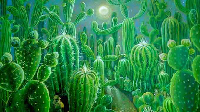 Sacred Medicine – The Path To Unity