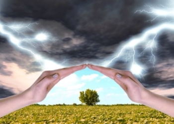 Making Peace With the Chaos in Your Life