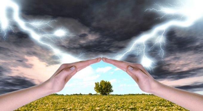Making Peace With the Chaos in Your Life