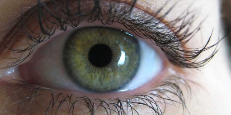 Preventing Cataracts