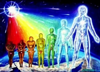 Our Unnatural Selection: The Evolution That Matters Most