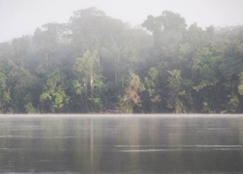 A Call To Protect Much More Land and Sea From Human Encroachment