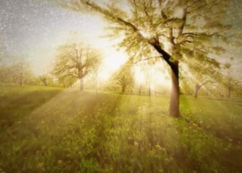WATCH: Ego Dearth – The Art Of Ecstatic Surrender [VIDEO with Jason Silva]