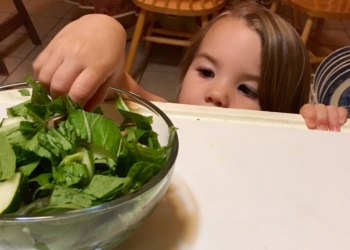 photo credit Julia Parsell