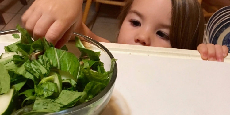 photo credit Julia Parsell