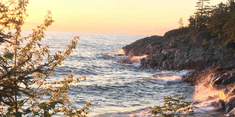 Create a Magical Life in Seven Steps