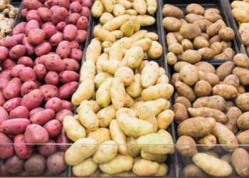 Dr. Mercola: Can Potatoes Be Considered Healthy?