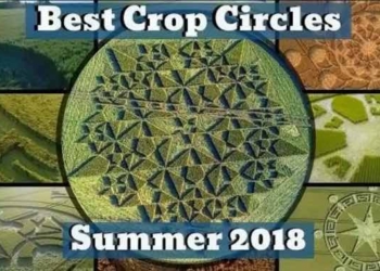 WATCH: The Best Crop Circles of Summer 2018!