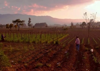 Women Land Defenders in Central America Are Fighting Extractive Industries on their Land—and Winning