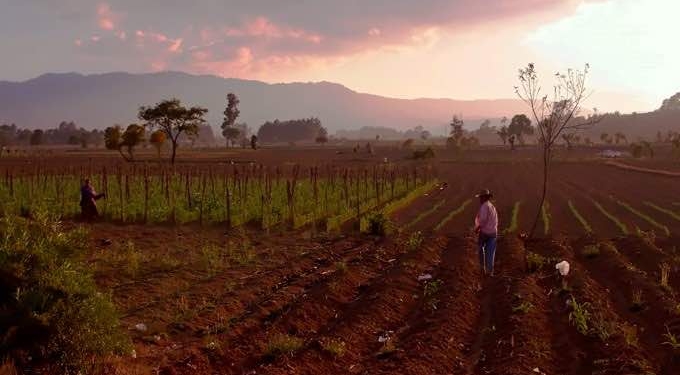 Women Land Defenders in Central America Are Fighting Extractive Industries on their Land—and Winning