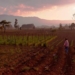 Women Land Defenders in Central America Are Fighting Extractive Industries on their Land—and Winning