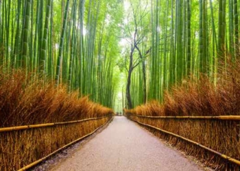 A One-Minute Japanese Technique For Overcoming Laziness