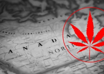 Canada Becomes First Major Economy To Legalise Recreational Cannabis