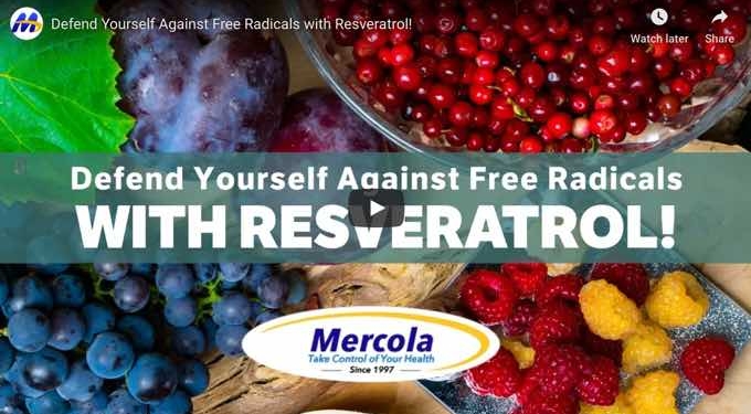Resveratrol Causes Rogue Cells to Self-Destruct