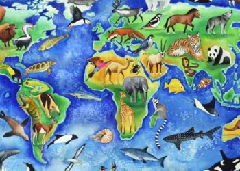 History Upheaval: How Old Is the Earth and Its Species?