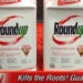 Judge Upholds Landmark Monsanto Verdict, But Slashes Punitive Damages by $211 Million