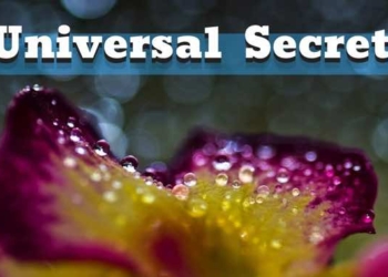 Kryon Gives Lightworkers the Universe’s Biggest Secret