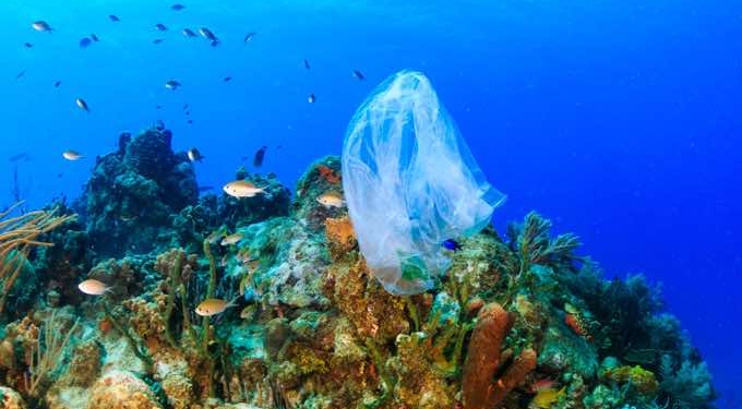 Single-use Plastics Ban Approved by European Parliament