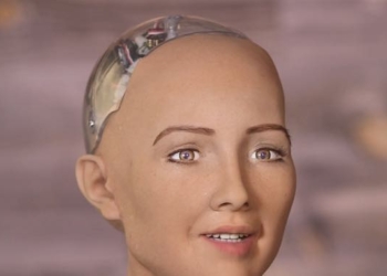 Could An Artificial Intelligence Be Considered A Person Under The Law?