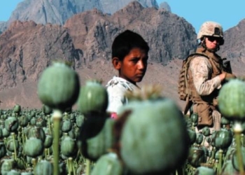 Global ‘War on Drugs’ Terrible at Eradicating Drugs, But Great at Upending Societies: Report