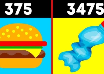 What Happens Every 5 Seconds on Earth