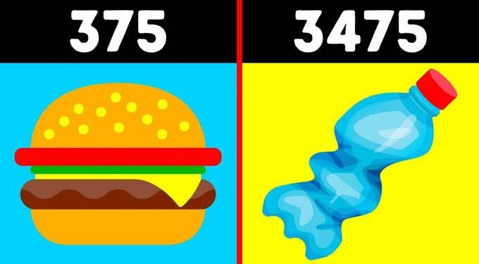 What Happens Every 5 Seconds on Earth