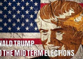 David Icke on the Ramifications of the Midterm Elections