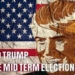 David Icke on the Ramifications of the Midterm Elections