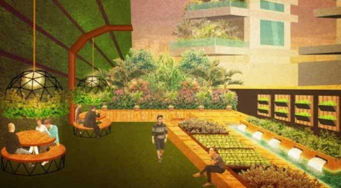How Can College Students Help Create Green Working Spaces?