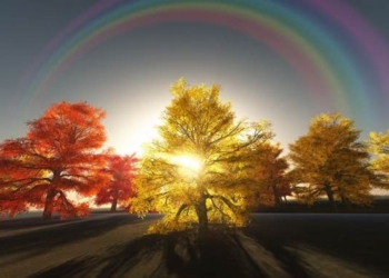 November 22, 2018 (11/22/2018) The MOST POWERFUL Day of the Year – A 44 Universal Day