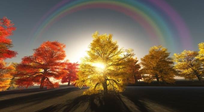 November 22, 2018 (11/22/2018) The MOST POWERFUL Day of the Year – A 44 Universal Day