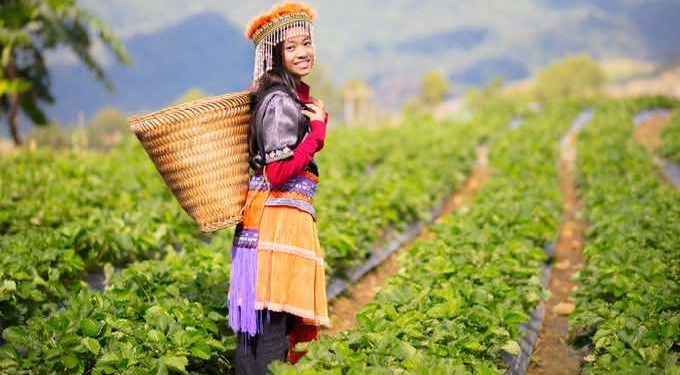 The New “Declaration on the Rights of Peasants” Represents a HUGE Advancement for Human Rights