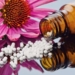 The Principles of Homeopathy + Evidence-Based Homeopathic Family Medicine