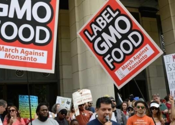 ‘A Disaster’: Critics Pounce on USDA’s New GMO Labeling Rule: It’s Intended to Hide, NOT Disclose, Info About GMOs