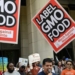 ‘A Disaster’: Critics Pounce on USDA’s New GMO Labeling Rule: It’s Intended to Hide, NOT Disclose, Info About GMOs