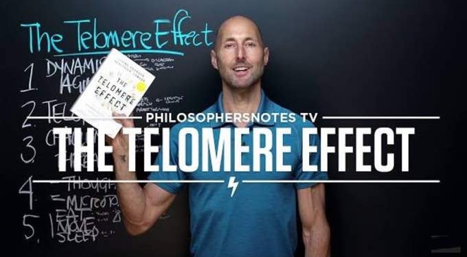 Want to Prolong Your LIfespan? Watch This Summary of “The Telomere Effect”
