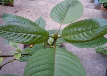 The 7 Most Important Things You Didn’t Know Happened in 2018