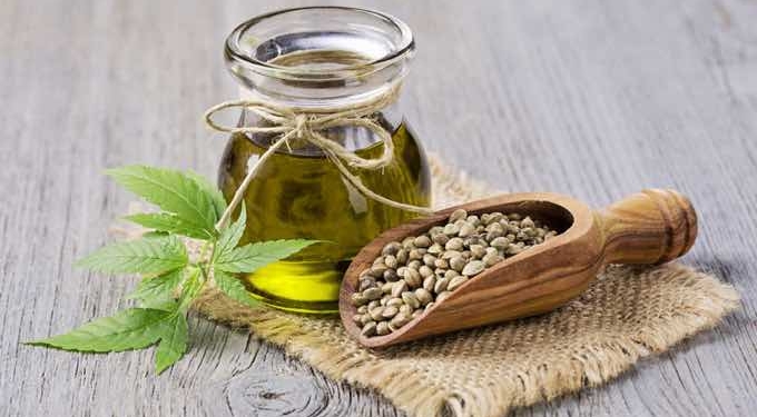 What is Hemp and its Benefits?