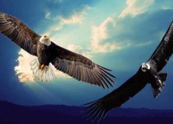 Wake Up and Change The Dream Of Reality – An Urgent Message From The Heart Of The World