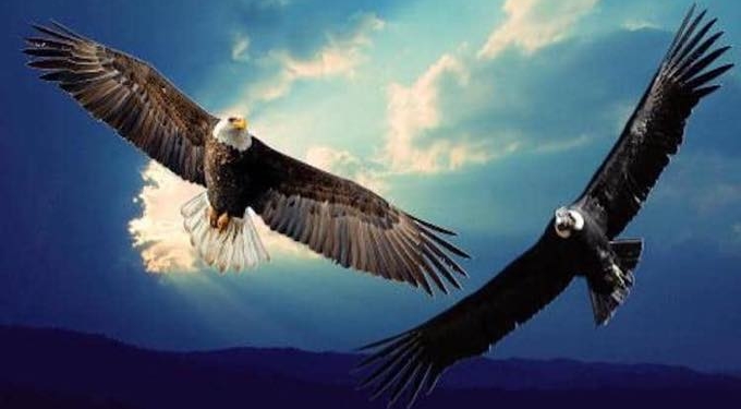 Wake Up and Change The Dream Of Reality – An Urgent Message From The Heart Of The World