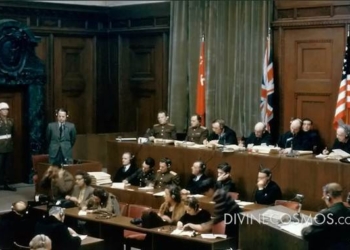 David Wilcock: The Deep State Tribunals Are Underway, Tree-Fall Synchronicity