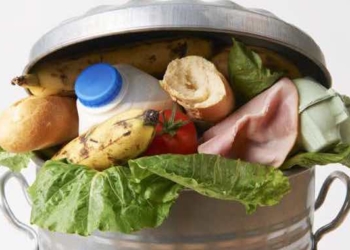Tips on How to Upcycle Food Waste and Cut Down on Rubbish Removal