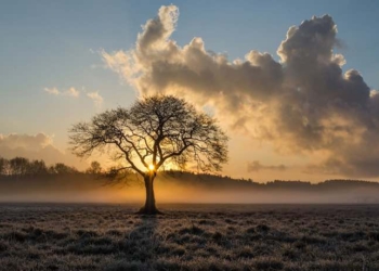 How to Reinvigorate Motivation: Habits to Apply to Your Life