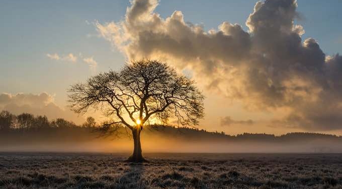 How to Reinvigorate Motivation: Habits to Apply to Your Life