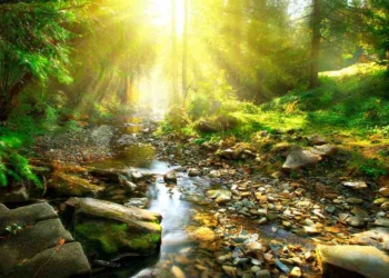 Own Your Truth:  A Simple Practice