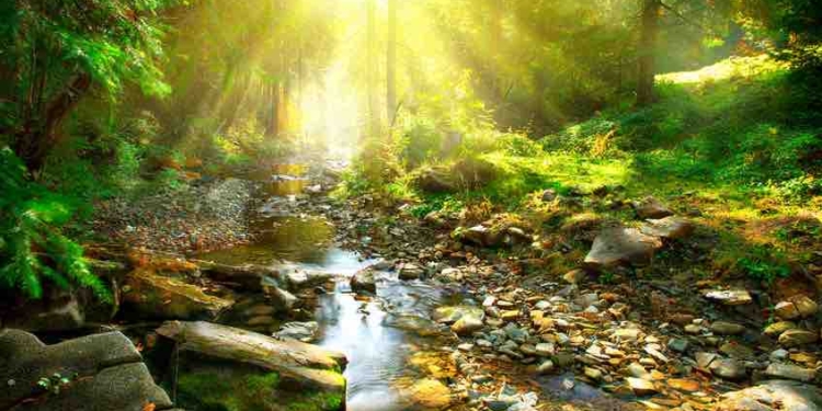 Own Your Truth:  A Simple Practice