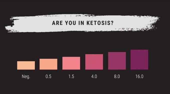 Top Ketone & Ketosis Testing – What You Need to Know Keto Test Strips