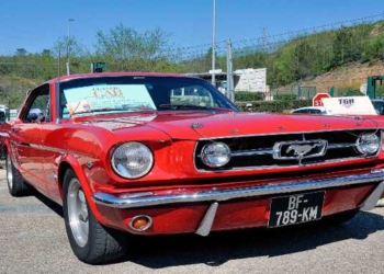 3 Essential Tips for Buying Salvaged Vehicles