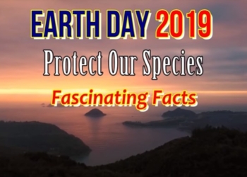 Earth Day 2019 Theme – Protect Our Species | Fascinating Facts
